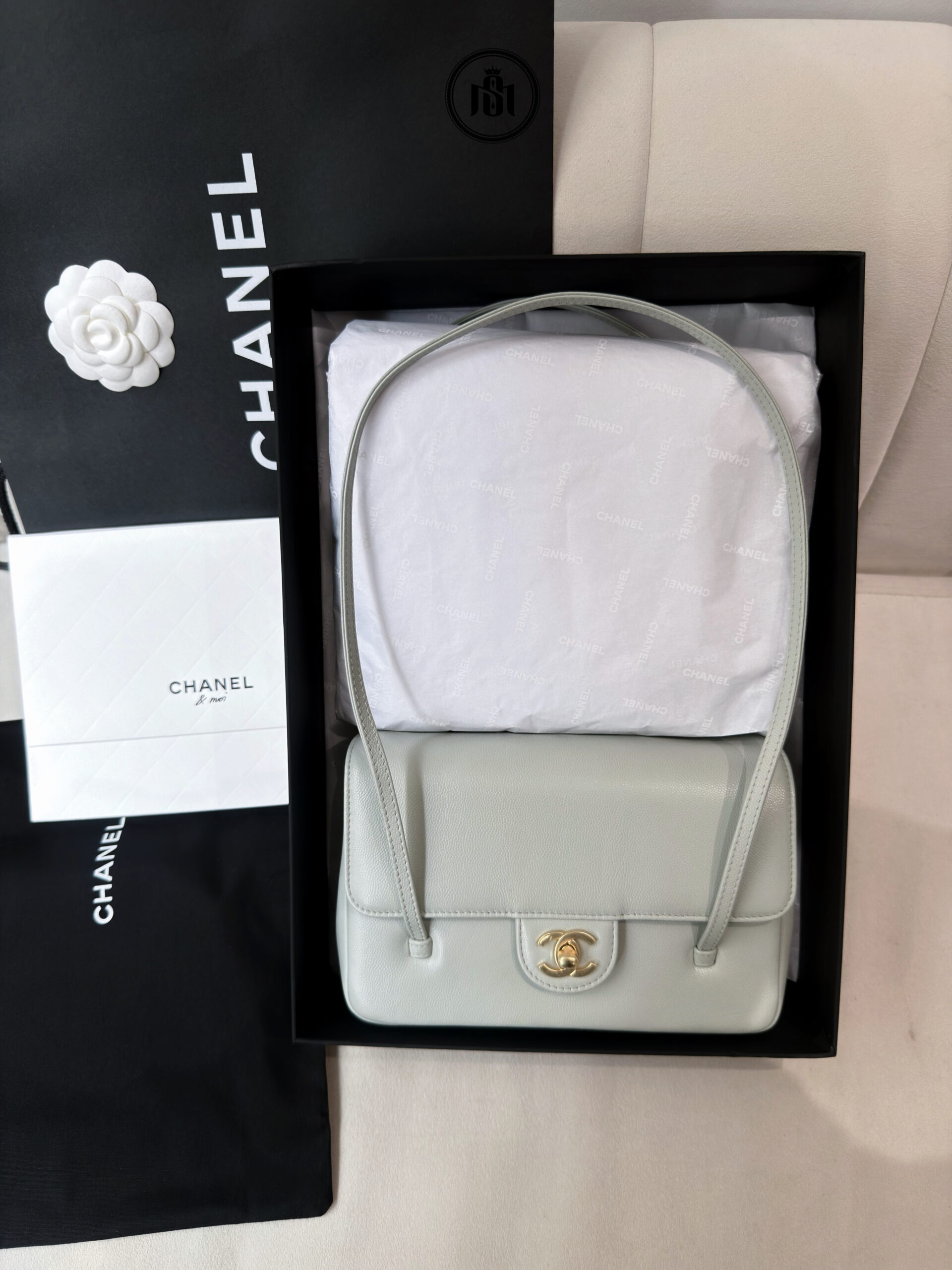 TÚI CHANEL 26SS SMALL PREPPY COCO FLAP BAG IN LIGHT GREEN GRAINED SHINY CALFSKIN & GOLD-TONE METAL 1 TÚI CHANEL 26SS SMALL PREPPY COCO FLAP BAG IN LIGHT GREEN GRAINED SHINY CALFSKIN & GOLD-TONE METAL