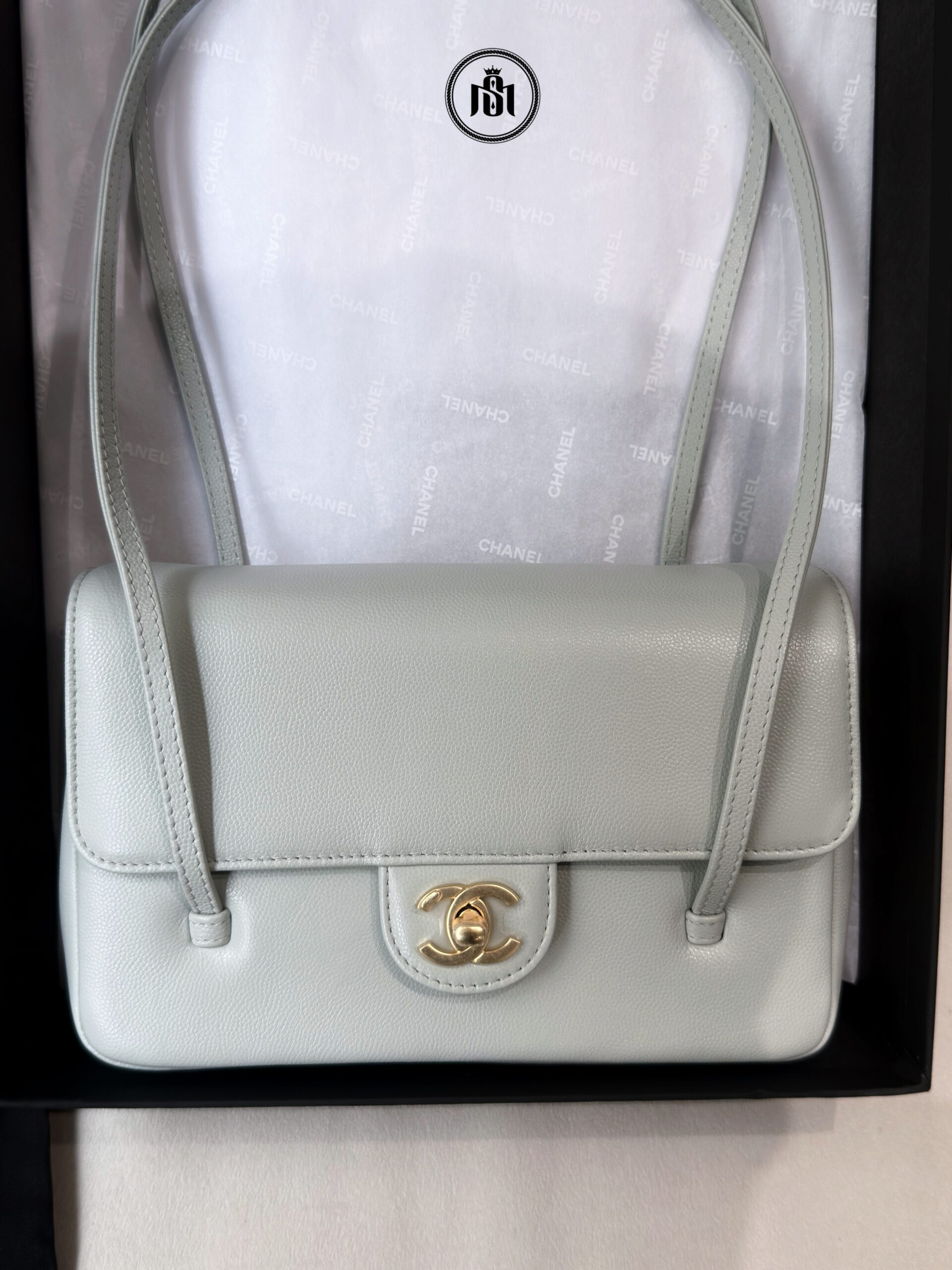 TÚI CHANEL 26SS SMALL PREPPY COCO FLAP BAG IN LIGHT GREEN GRAINED SHINY CALFSKIN & GOLD-TONE METAL 2 TÚI CHANEL 26SS SMALL PREPPY COCO FLAP BAG IN LIGHT GREEN GRAINED SHINY CALFSKIN & GOLD-TONE METAL - Ảnh 2